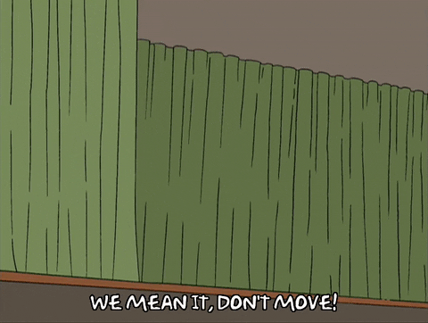 Magician Homer Simpson Dont Move GIF