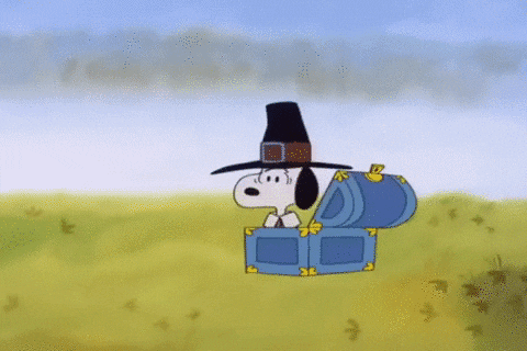 Magician Peanuts Snoopy Thanksgiving GIF