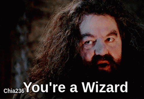 Magician Rubeus Hagrid Harry Potter GIF