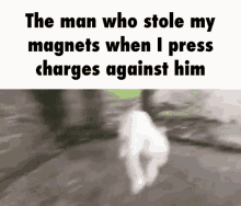 Magnet Crazy Wild Dog Funny Meme GIF