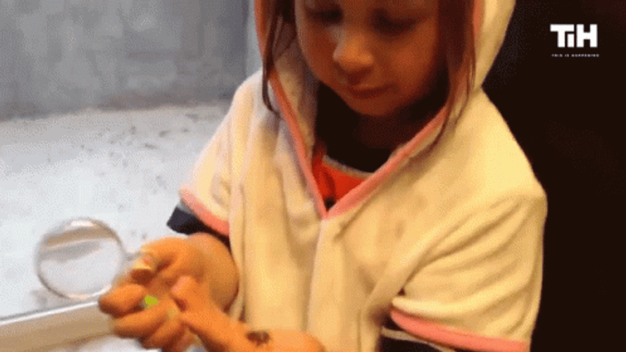 Magnifying Glass GIF