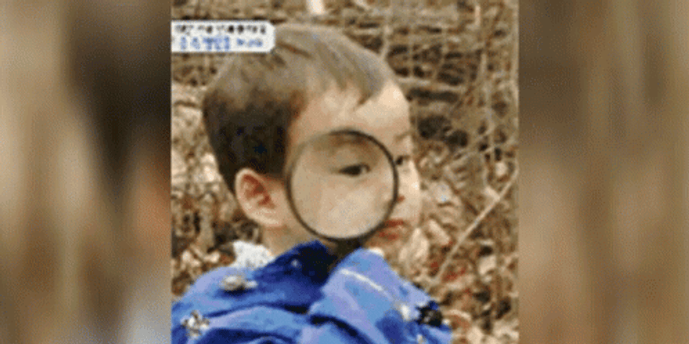 Magnifying Glass GIF