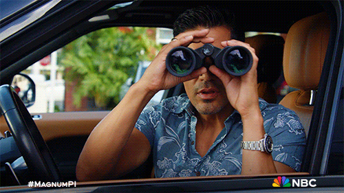 Magnum Pi Spy GIF