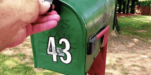 Mailing Box Cute Dog GIF