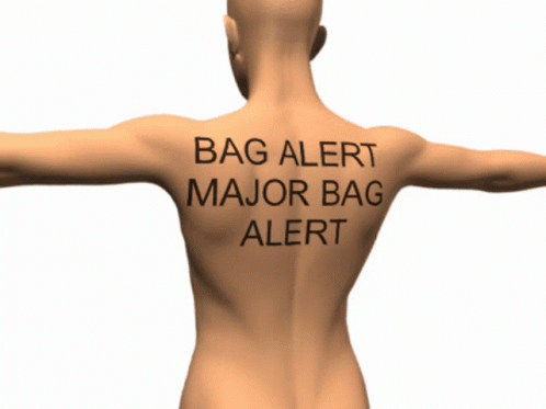 Major Bag Alert Meme GIF