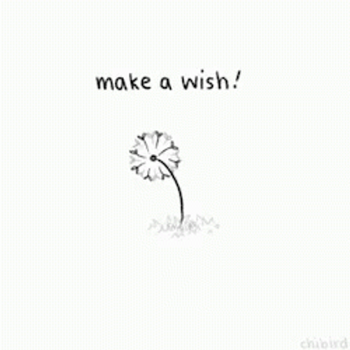 Make A Wish After Countdown Then Blow GIF