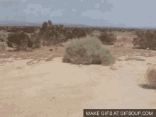 Make Gifs At Gifsoup.com Is Displayed At The Bottom Of This Desert Landscape GIF