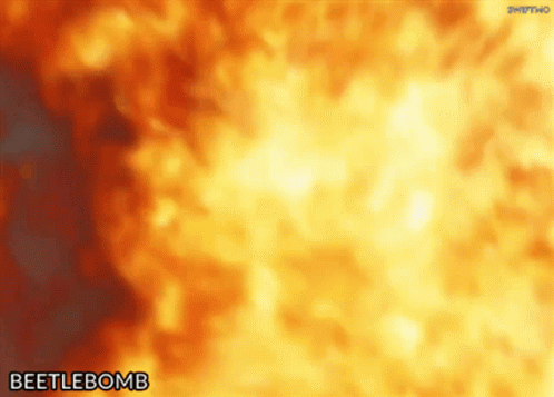 Makes Me Want A Hot Dog Beetle Bomb GIF