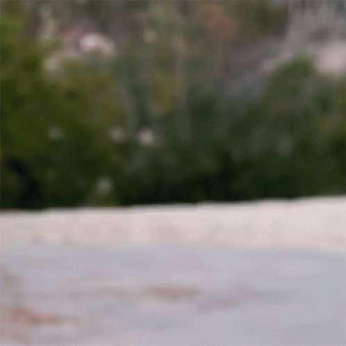 Makes Me Want A Hot Dog Put Me Down GIF