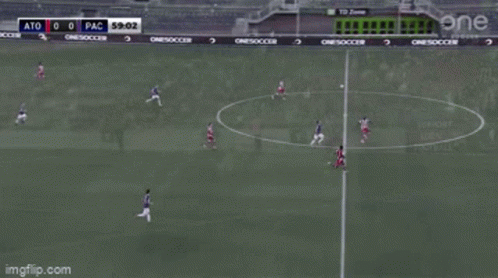 Malcolm Shaw Nutmeg GIF