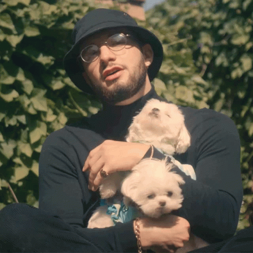 Maltese Puppies Dogs Hugging GIF