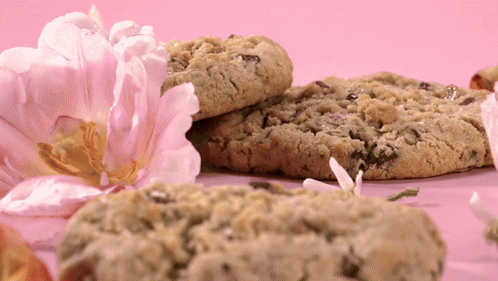 Mama May I Have Cookie In The Table GIF