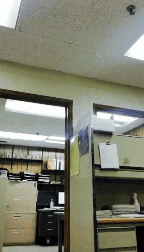 Man Acrobatic Amaze Cartwheel GIF