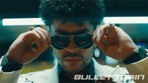 Man Adjusting Sunglasses Bullet Train