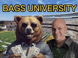 Man and Bear With Bags University
