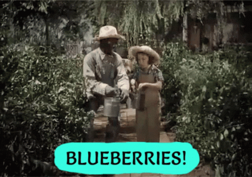Man and Boy in Garden With Blueberries Sign