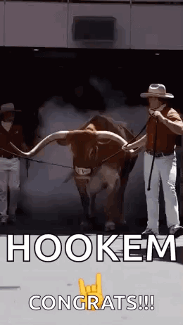 Man and Bull With Long Horns Hookem Congrats