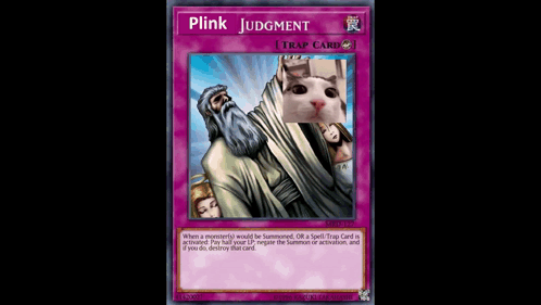 Man and Cat Blink Judgment