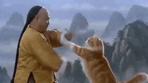 Man And Cat Fighting Before Mountain GIF