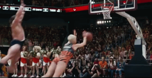 Man and Cat Playing Basketball TikTok