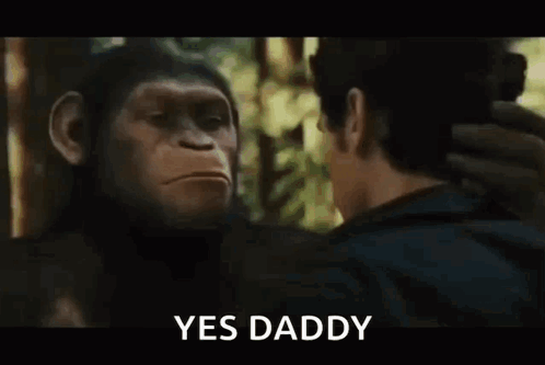 Man and Chimpanzee Saying Yes Daddy