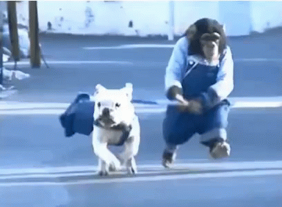 Man And Dog Running Across Street GIF