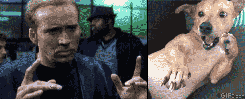 Man And Dog Sneeze Meme GIF