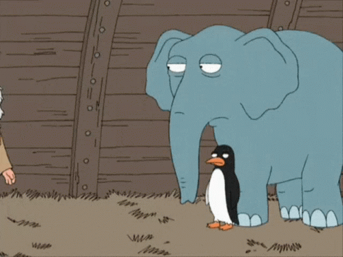 Man and Elephant and Penguin Saying What the Hell