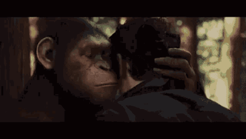 Man And Monkey Looking At Each Other In Dark Room GIF