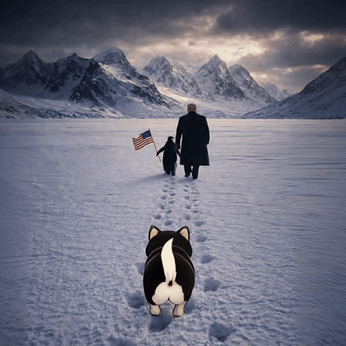 Man and Penguin Walking in Snow With American Flag