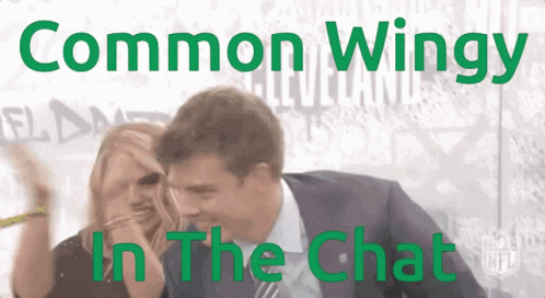 Man and Woman Common Wingy in the Chat