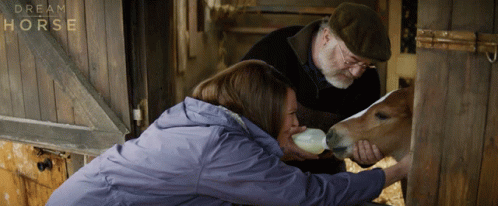 Man and Woman Feeding Horse From Bottle