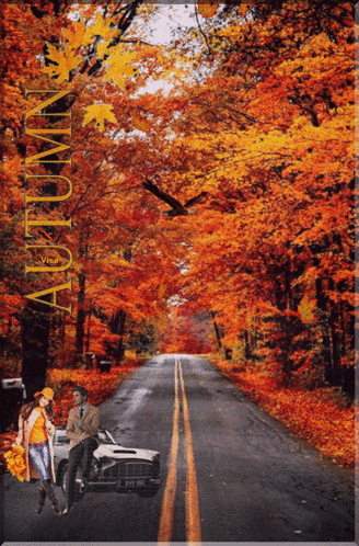 Man and Woman in Car With Autumn