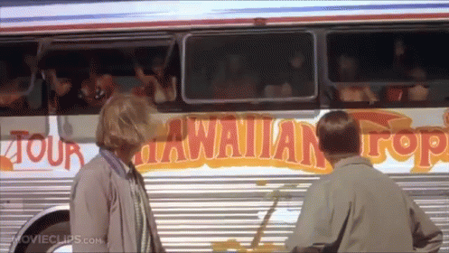 Man and Woman in Front of Hawaiian Top Bus