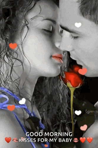 Man And Woman Kissing With Rose GIF