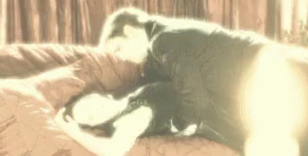Man and Woman Laying on Bed