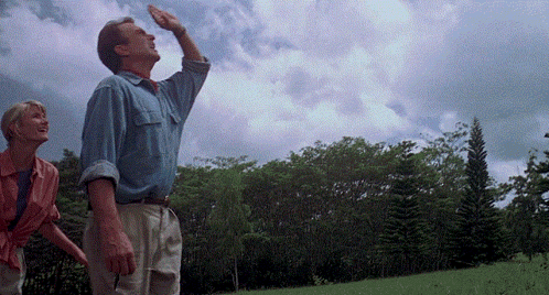 Man And Woman Looking Up At Sky GIF