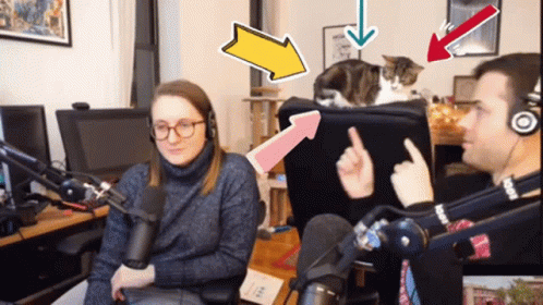 Man and Woman Sitting with Cat in Front of Microphone