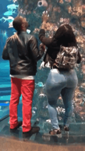 Man And Woman Standing In Front Of Large Aquarium GIF