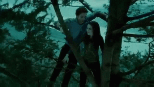 Man and Woman Standing in Tree in the Dark