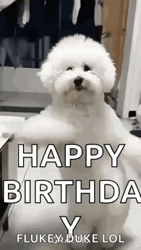 Man And Woman Standing Together Smiling GIF