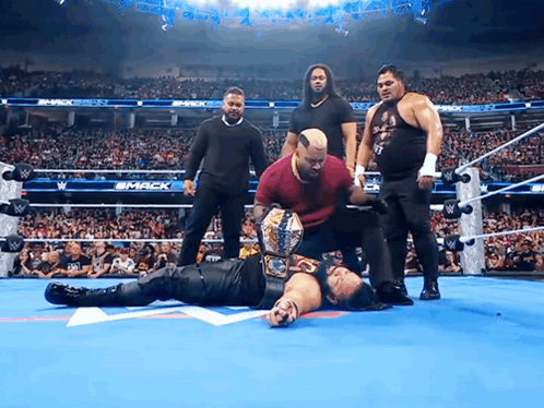 Man And Woman Wrestling In Ring GIF