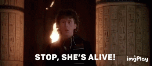 Man at Columns Says Stop She's Alive