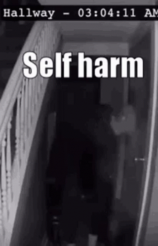 Man Banging Head I Hurt Myself Today GIF