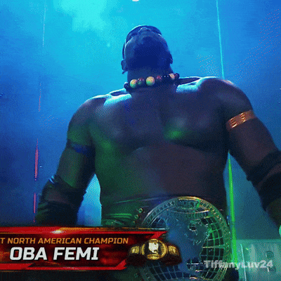 Man Before T North American Champion Sign GIF