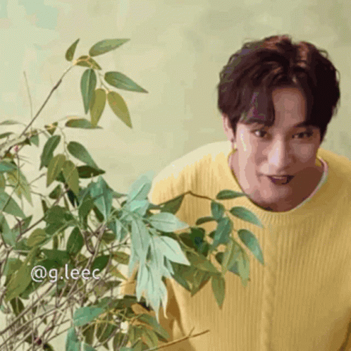 Man Behind Tiny Plant Hiding Meme GIF