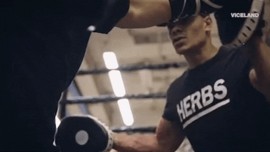 Man Boxing Defense Training Technique GIF