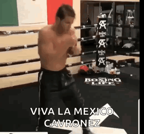 Man Boxing Viva La Mexico Cabronez