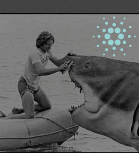 Man Brushing Shark on Boat