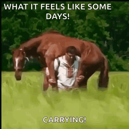 Man Carrying Horse In Field GIF